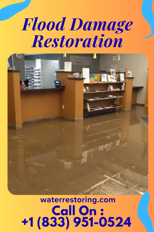 Flood Damage Restoration in Bottineau, ND