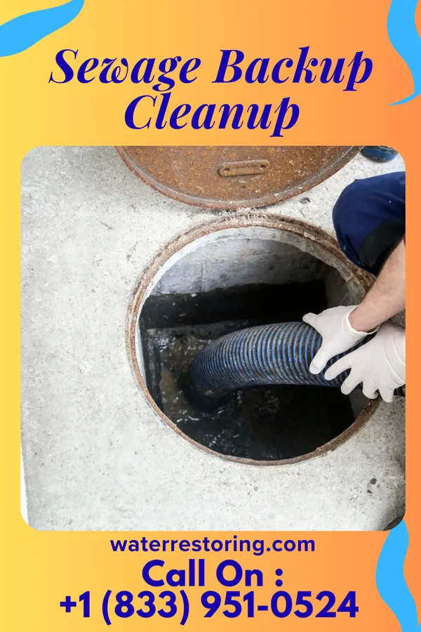 Sewage Backup Cleanup in Bottineau, ND